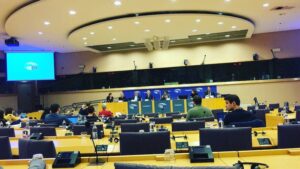 A thematic meeting on 'Political parties and participation of persons with disabilities', hosted by EDF, Disability Intergroup, ODIHR and MEP Helga Stevens.