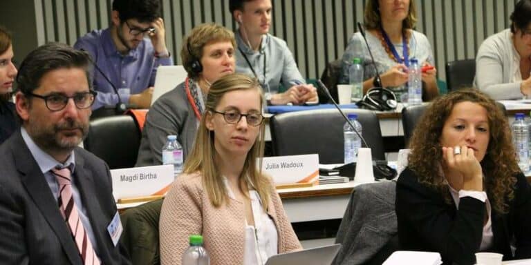 Concluding observations of the UN CRPD Committee to the European Union should be reflected in a new European Disability Strategy