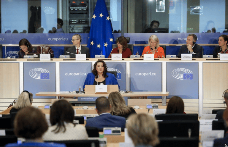 Hearing of the Commissioner-designate Helena Dalli