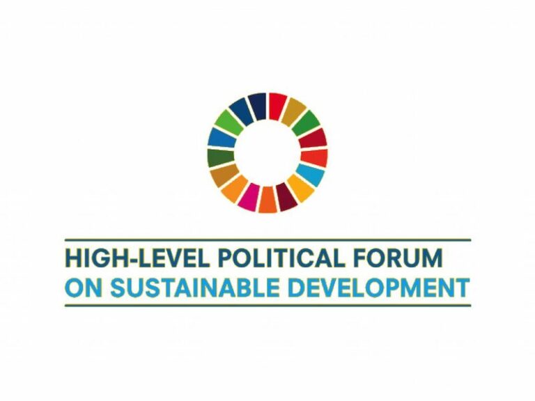 Webinar on Key messages to be delivered at HLPF 2019 on behalf of the Stakeholder Group of Persons with Disabilities